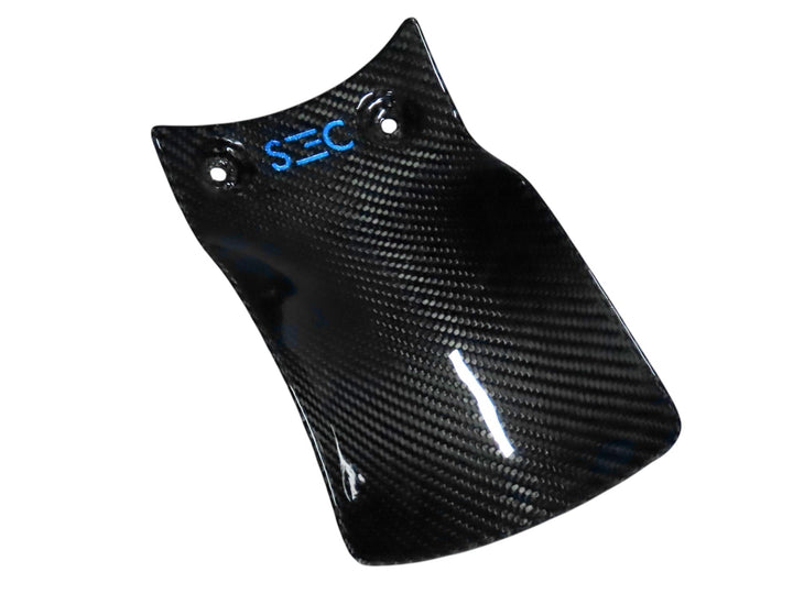 Spritzschutz Carbon Beta RR 2012-2025