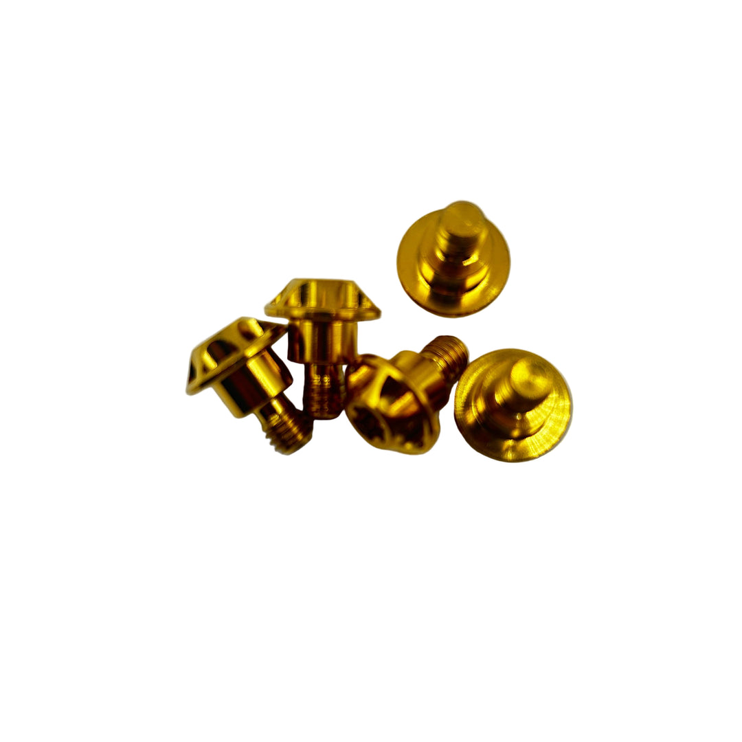 Titan Schrauben M6 Gabelprotektoren
